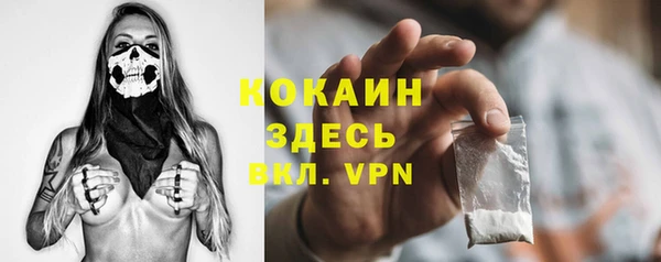 бошки Богданович