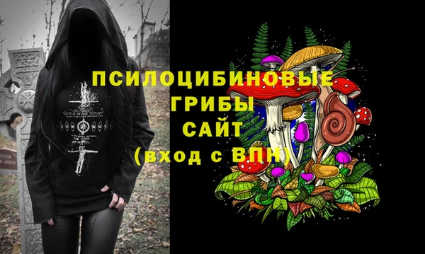 бошки Богданович