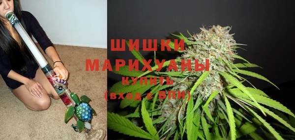 бошки Богданович