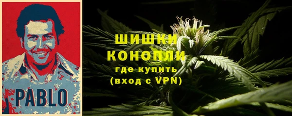 бошки Богданович